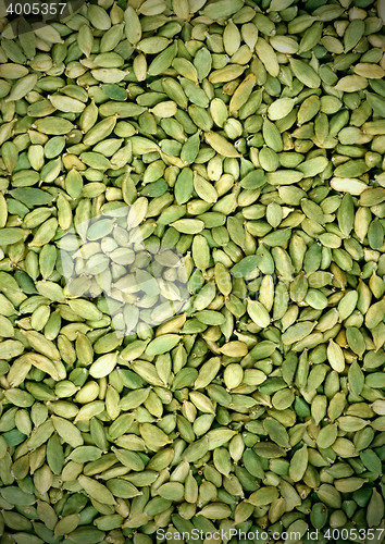 Image of green spices