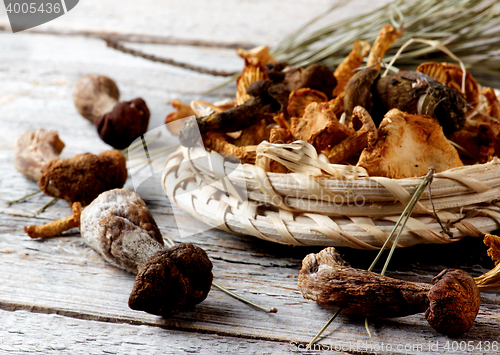 Image of Arrangement of Dried Mushrooms