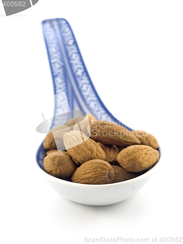 Image of almond