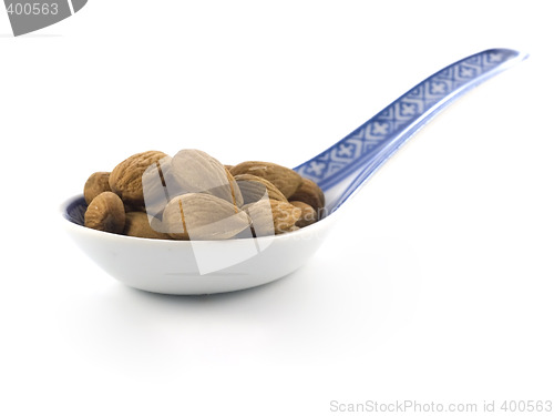 Image of almond