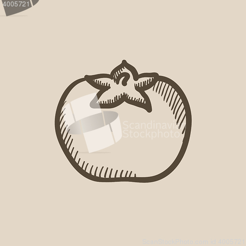 Image of Tomato sketch icon.