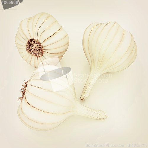 Image of Head of garlic. 3D illustration. Vintage style.