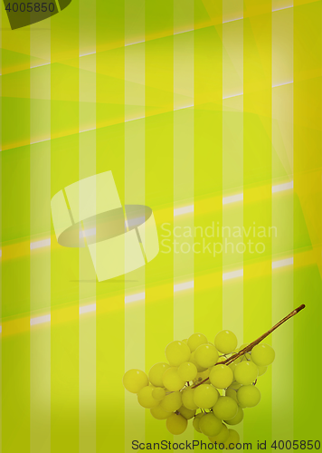 Image of abstract background of colored bands with grapes. 3D illustratio