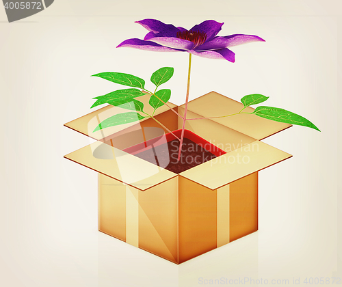 Image of Clematis in a pot out of the box. 3D illustration. Vintage style