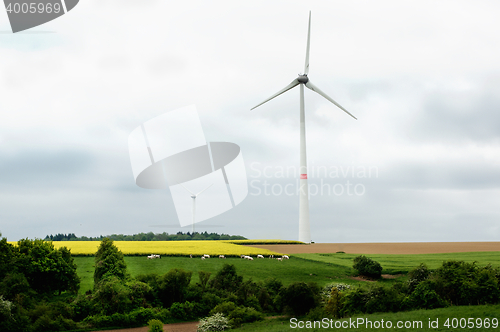 Image of Belgium Rustic Landscape