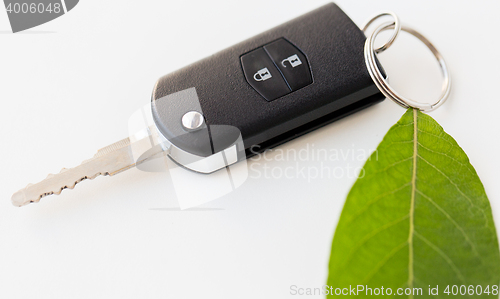 Image of close up of car key and green leaf