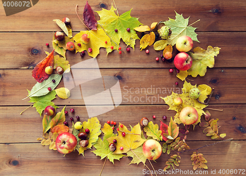 Image of set of autumn leaves, fruits and berries on wood