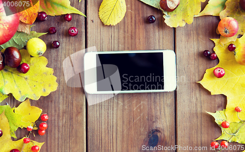 Image of smartphone with autumn leaves, fruits and berries