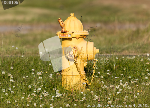 Image of Yellow fire hydrant on a city sidewalk