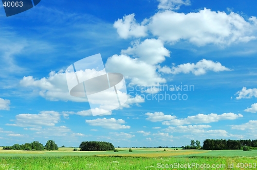 Image of Summer Landscape