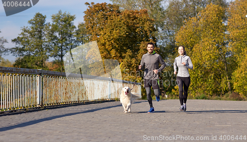 Image of happy couple with dog running outdoors