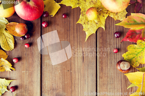 Image of frame of autumn leaves, fruits and berries on wood