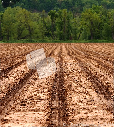 Image of Agricultural Field Ready For Planting