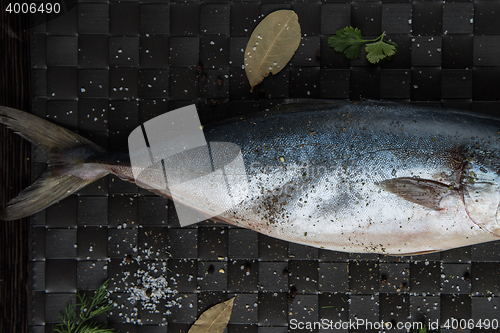 Image of raw tuna fish