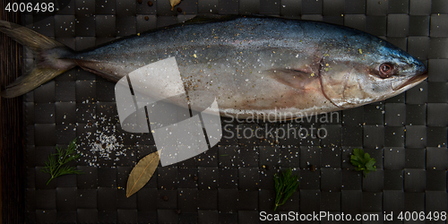 Image of raw tuna fish