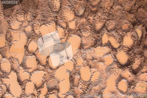 Image of Wet mud with footprints