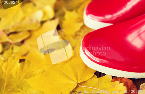 Image of close up of red rubber boots on autumn leaves