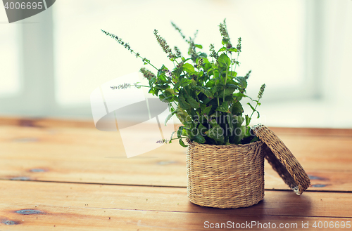 Image of close up of melissa in basket on wooden table