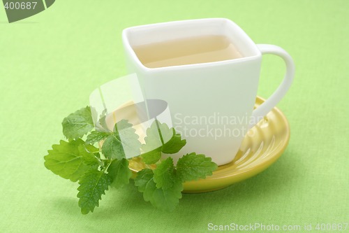 Image of mint tea