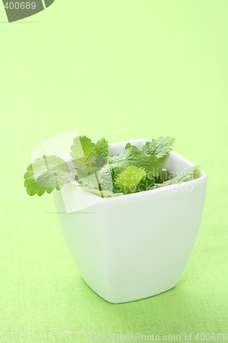 Image of mint tea