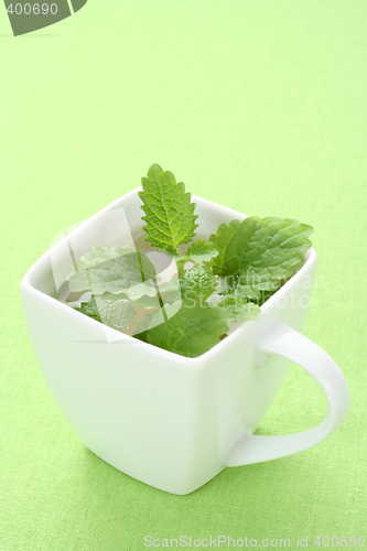 Image of mint tea