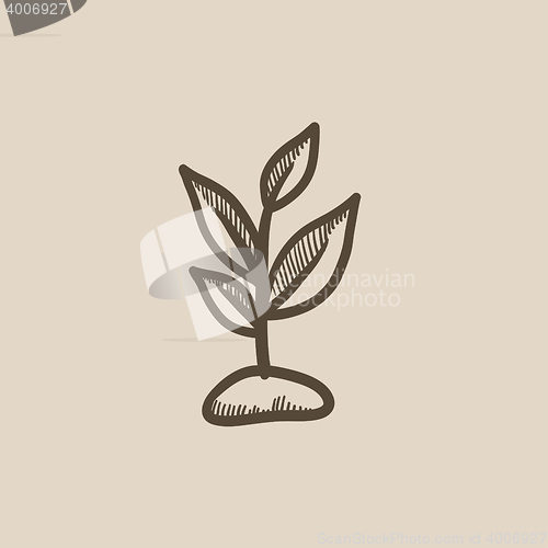 Image of Sprout sketch icon.