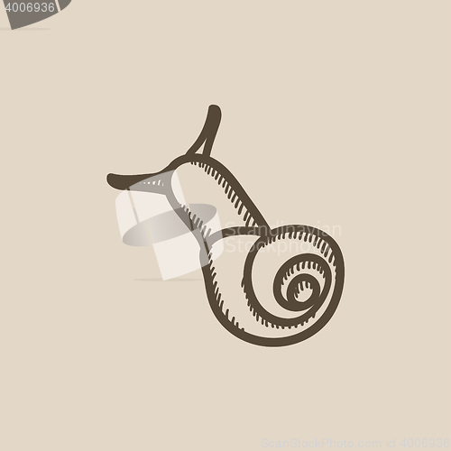 Image of Snail sketch icon.