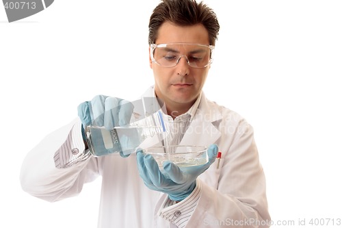 Image of Scientist pouring liquid into petri dish
