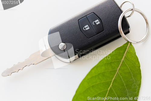 Image of close up of car key and green leaf