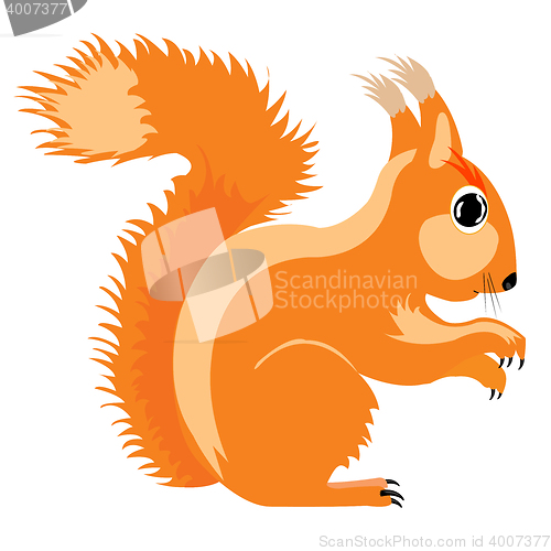 Image of Illustration of the squirrel