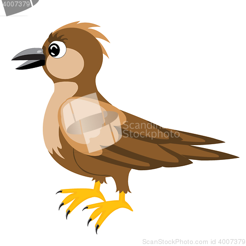 Image of Illustration sparrow