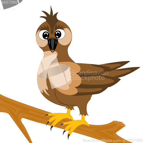 Image of Sparrow on branch
