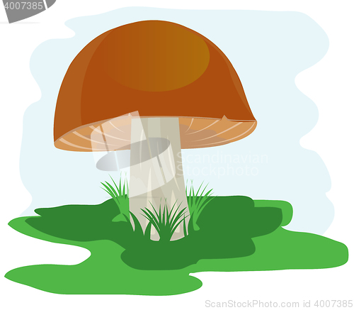 Image of Mushroom on glade