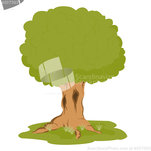 Image of Tree on glade