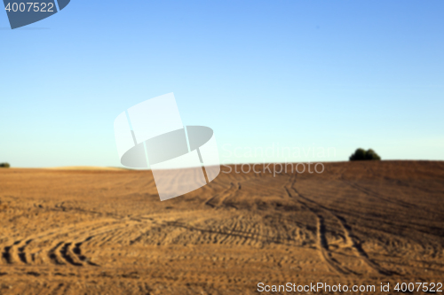 Image of plowed agricultural field