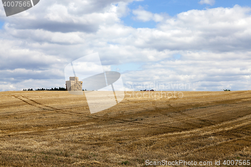 Image of stack of wheat straw