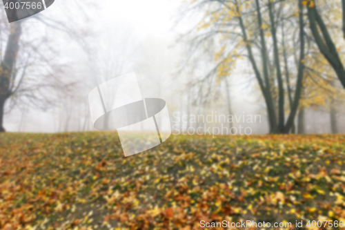 Image of Autumn Park, overcast