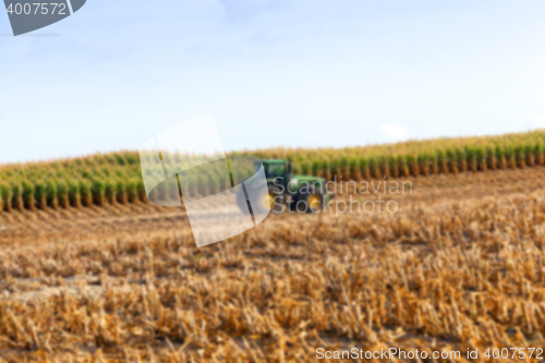 Image of harvesting corn, defocus