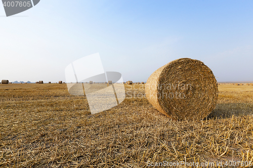 Image of stack of straw in the field