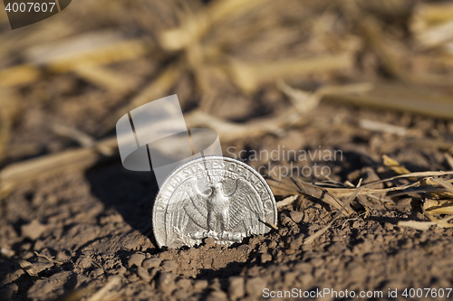 Image of cereal farming field