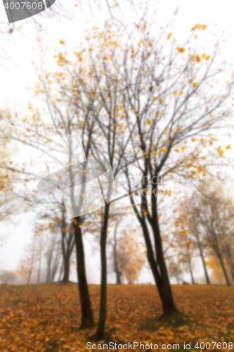 Image of Autumn Park, overcast