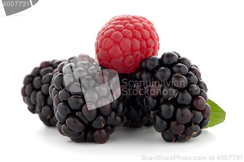 Image of Raspberry with blackberry 