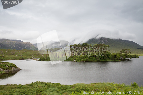 Image of view to island in lake or river at ireland