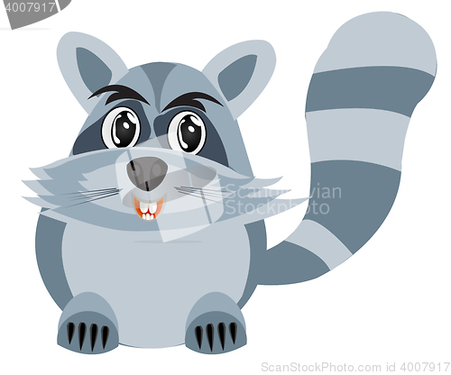 Image of Drawing of the racoon on white background