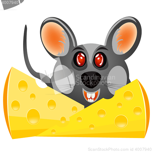 Image of Baby mouse with cheese