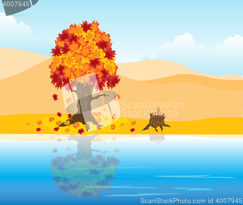 Image of Autumn landscape