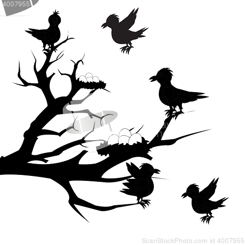 Image of Tree with bird