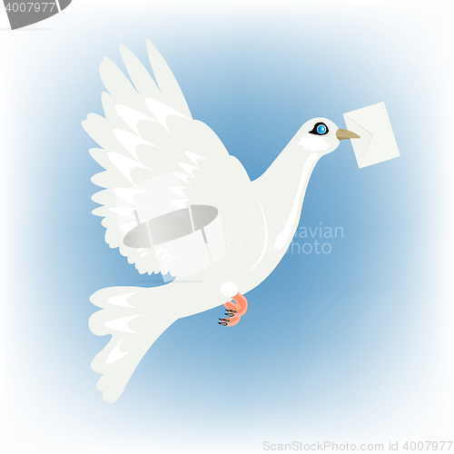 Image of Carrier pigeon with letter in beak