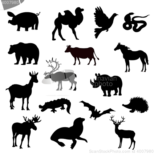 Image of Silhouettes animal on white background