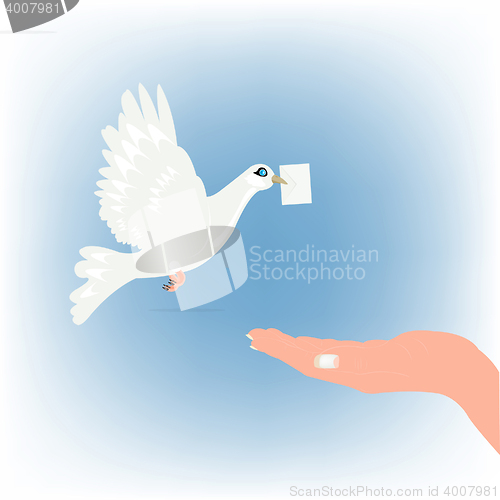 Image of Dove carrying letter and stretching feminine palm